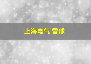 上海电气 雪球